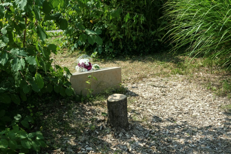 Le tronc d'un olivier avattu devant la stèle rendant hommage à Ilan Halimi, le 15 août 2025 à Epinay-sur-Seine, en Seine-Saint-Denis ( AFP / Dimitar DILKOFF )