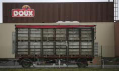 DOUX PLACÉ EN LIQUIDATION JUDICIAIRE