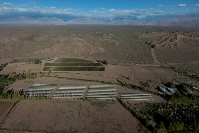 Vue aérienne d'un vignoble entouré par des terres arides à Calingasta, dans la province de San Juan, en Argentine, le 20 avril 2026 ( AFP / Luis ROBAYO )