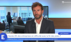 Seules 6% des entreprises en difficulté avec la fin des aides ?