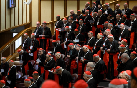 Les cardinaux réunis au Vatican pour la 5è "congrégation générale" qui va décider de la date du conclave où le successeur du pape François sera choisi, le 28 avril 2025 ( VATICAN MEDIA / Mario Tomassetti )