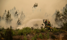 Des pompiers arrosent la lisière d'une forêt lors d'un incendie de forêt près de la ville de Lège-Cap-Ferret, en Gironde, le 25 juillet 2026 ( AFP / JULIEN DE ROSA )