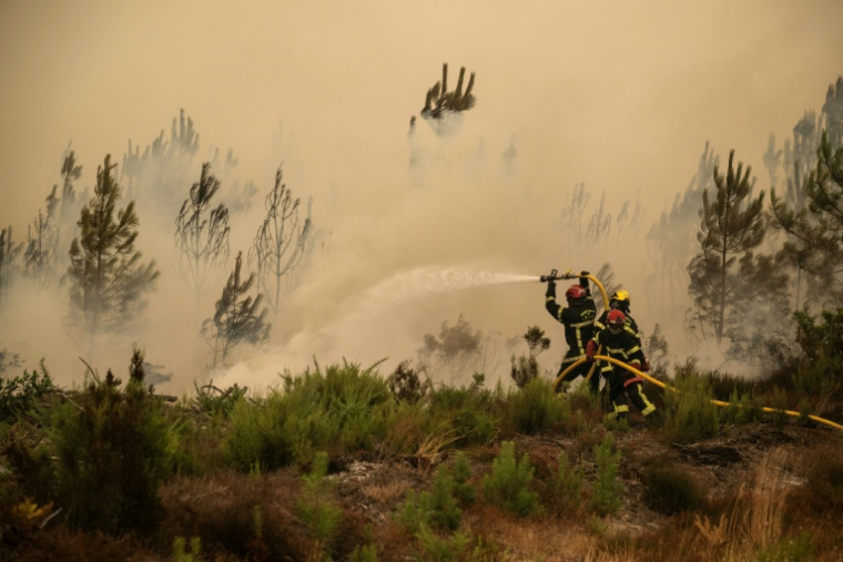 Des pompiers arrosent la lisière d'une forêt lors d'un incendie de forêt près de la ville de Lège-Cap-Ferret, en Gironde, le 25 juillet 2026 ( AFP / JULIEN DE ROSA )