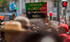 Manifestation contre le chlordécone à Fort-de-France en Martinique, le 27 mars 2021 ( AFP / Lionel CHAMOISEAU )