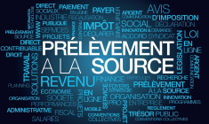 Quel est le lien entre prélèvement à la source et votre salaire net indiqué sur votre fiche de paie ? ( Crédits: © morganimation - stock.adobe.com)