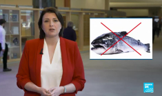 Le bœuf aux hormones et le poulet lavé au chlore autorisés en France à cause de l'UE ?