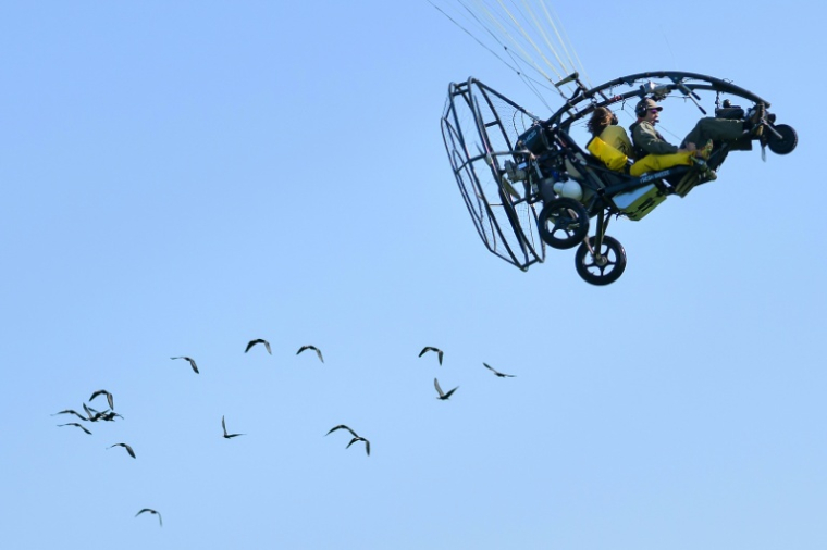Des ibis chauves sont guidés depuis un ULM, lors d'une séance d'entraînement au camp de Binningen, dans le sud-ouest de l'Allemagne, le 22 juillet 2026 ( AFP / SEBASTIEN BOZON )
