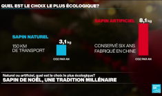 Sapin naturel vs sapin artificiel... Le match du bilan carbone