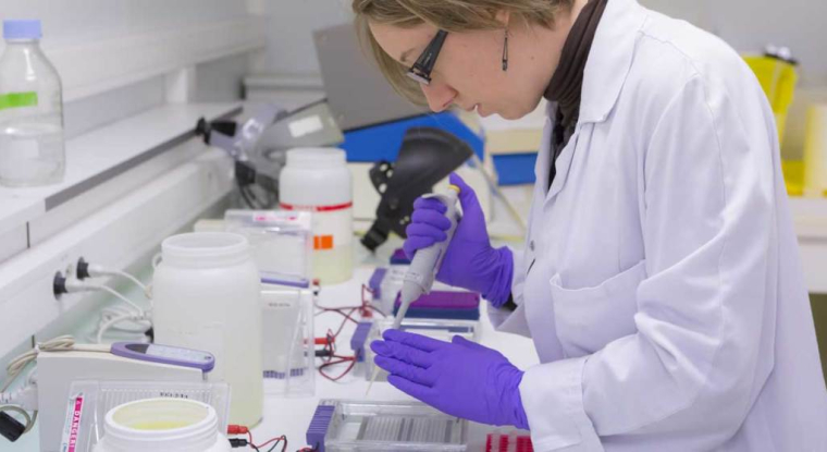 Metabolic Explorer veut construire une usine en Europe d'ici trois ans. (© Metabolic Explorer)