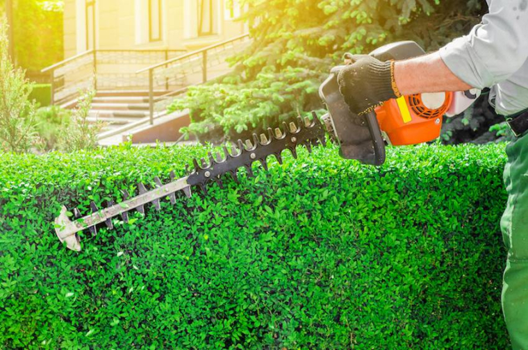 Jardin, comment éviter les nuisances de voisinage-iStock-todaydesign