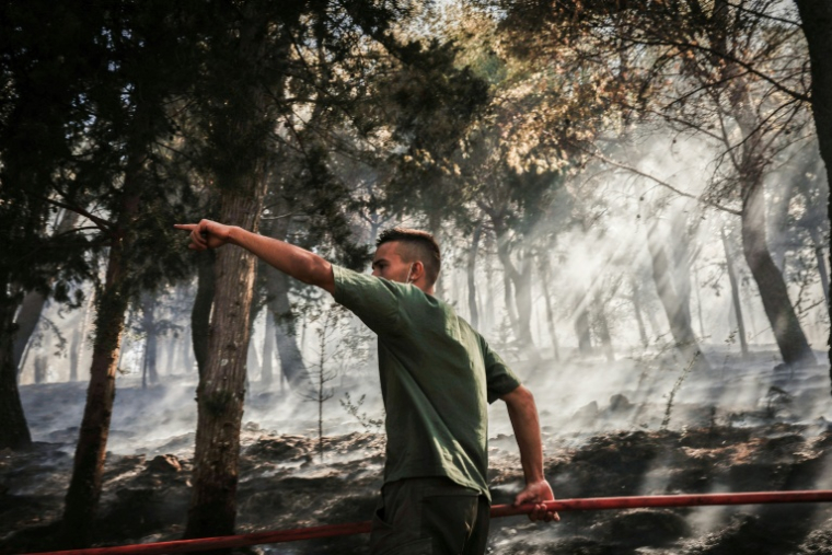 Un volontaire fait un geste en luttant contre un incendie de forêt le 23 juin 2025 sur l'île de Chios en Grèce ( AFP / Dimitris Tosidis )