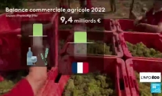 Le métier d'agriculteur délaissé par les jeunes générations