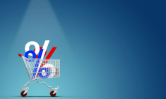 (Qu'allez-vous mettre dans votre caddie ou votre panier internet pour les French Days 2024 ? - Crédit photo : Adobe Stock)