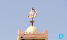 Reggane : les irradiés du Sahara