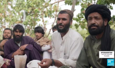 Culture du pavot interdite en Afghanistan : quelles conséquences ?