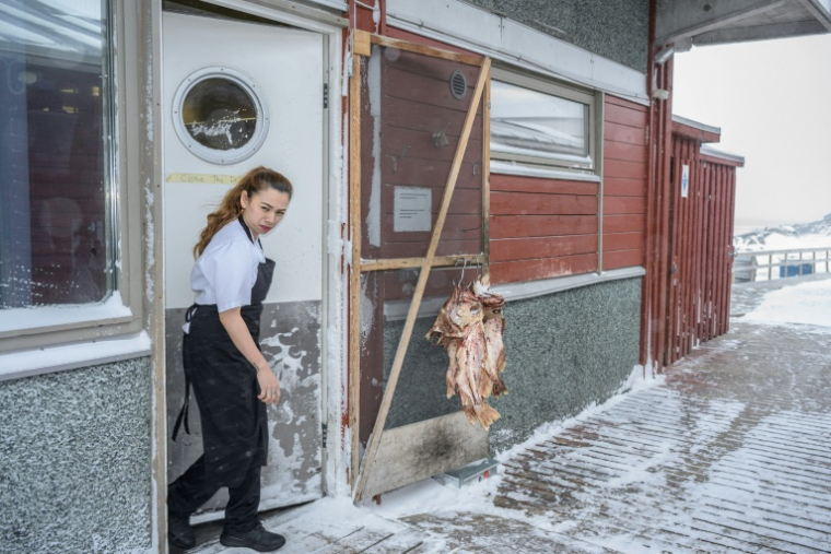 Une employée thaïlandaise dans un restaurant à Ilulissat, au Groenland, le 18 mars 2026 ( AFP / Florent VERGNES )