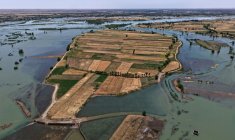 Une zone inondée dans la province syrienne de Deir Ezzor, le 31 mai 2026, suite aux récentes crues provoquées par la montée des eaux de l'Euphrate ( AFP / Bakr ALKASEM )