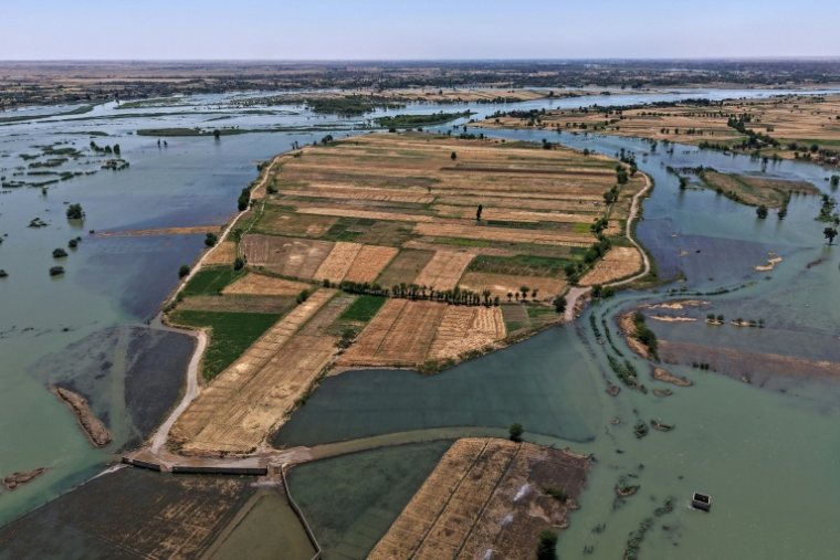 Une zone inondée dans la province syrienne de Deir Ezzor, le 31 mai 2026, suite aux récentes crues provoquées par la montée des eaux de l'Euphrate ( AFP / Bakr ALKASEM )