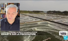 Enquête sur le poisson d'élevage: un drame environnemental et humain