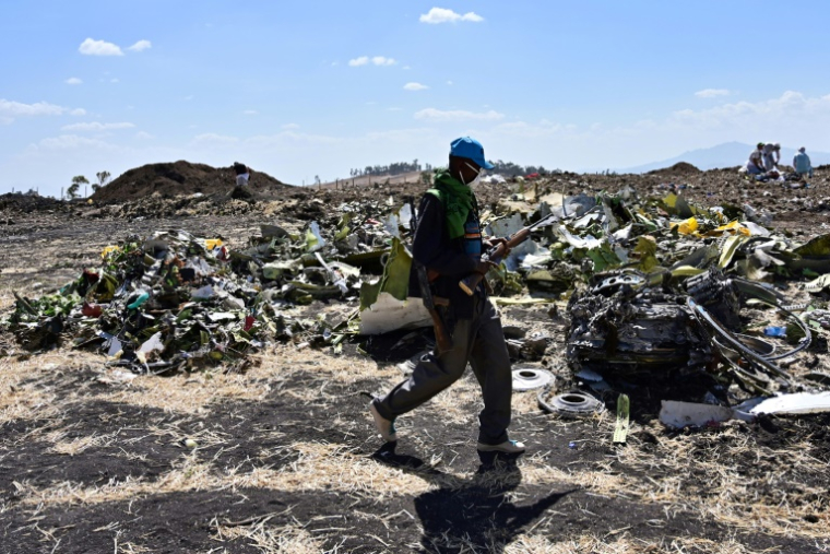 Le site du crash d'un Boeing 737 MAX 8 d'Ethiopian Airways, près de Bishoftun, le 16 mars 2019 en Ethiopie ( AFP / TONY KARUMBA )