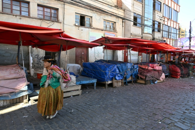Une femme indigène sur un marché touché par des pénuries dues aux barrages routiers et aux manifestations contre le président bolivien Rodrigo Paz, le 19 mai 2026 à La Paz, en Bolivie ( AFP / Aizar RALDES )