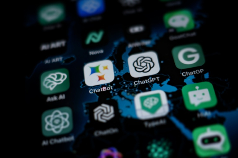 Chatbots are seen as one of the greatest annoyances ( AFP / OLIVIER MORIN )