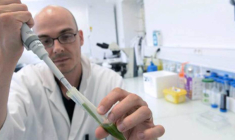 Fermentalg utilise des microalgues pour produire des molécules à haute valeur ajoutée. (© Fermentalg)