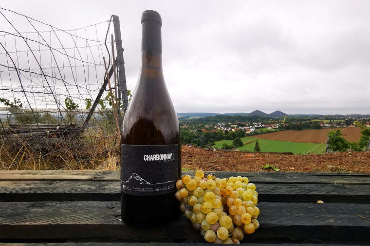 Une bouteille de vin Charbonnay et de raisins chardonnay dans un vignoble de Haillicourt, France