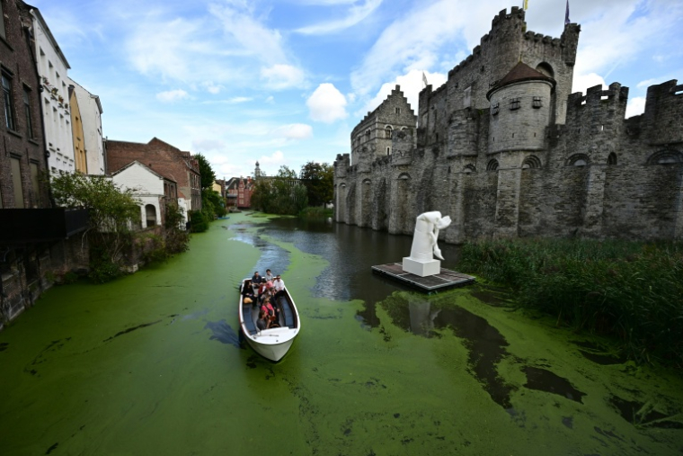 Les voies d'eau de Gand, en Belgique, envahies de lentilles d'eau, le 1er octobre 2026 ( AFP / Nicolas TUCAT )