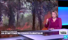 Climat: L'Indonésie en proie aux flammes depuis 2 mois
