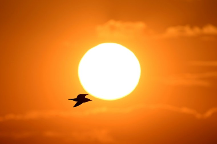 Des températures plus chaudes que la normale sur la France constituent le scénario le "plus probable" pour cet été, en particulier en Corse, selon Météo-France ( AFP / Nicolas TUCAT )