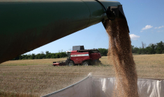 En Ukraine, dans le Donetsk, le 4 août 2023. ( AFP / ANATOLII STEPANOV )