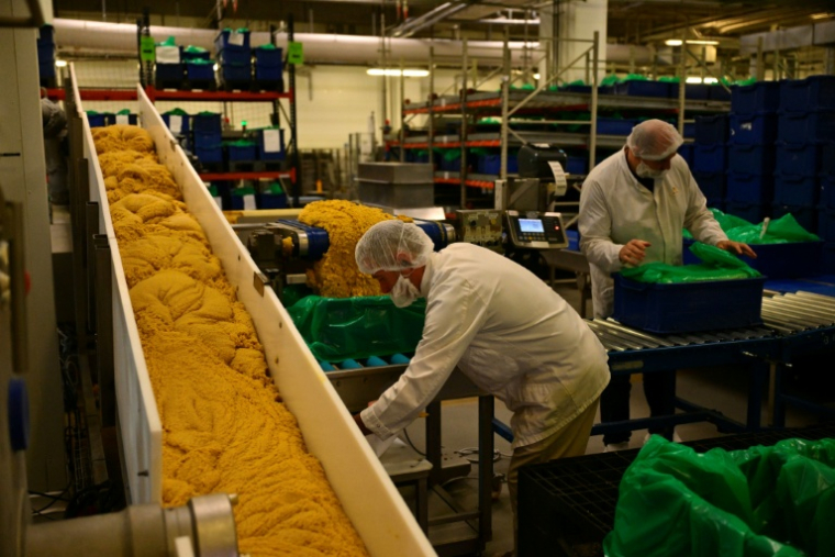 La fabrication de calissons dans l'atelier de production du Roy René à Aix-en-Provence, dans les Bouches-du-Rhône, le 18 novembre 2025 ( AFP / Christophe SIMON )