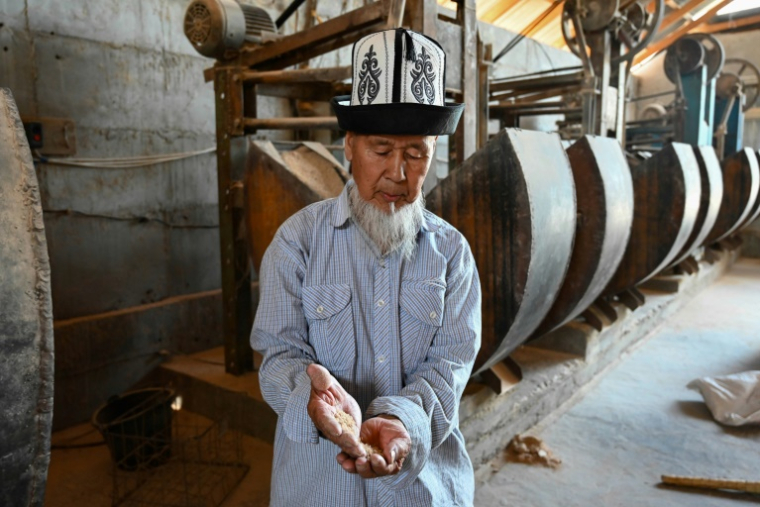 Le fermier Abdimamat Saparov, qui cultive du riz dans la région de Batken, au Kirghizstan, le 22 mai 2025 ( AFP / Guliza Urustambek kyzy )