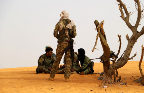 Des combattants du Front de libération de l'Azawad à Ménaka, au Mali, le 14 mars 2020. ( AFP / SOULEYMANE AG ANARA )