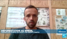 Déforestation au Brésil : Carrefour pointé du doight par Mighty Earth