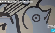 Exposition "Regards croisés" : Plantu-Reza, quand le dessin croise la photo