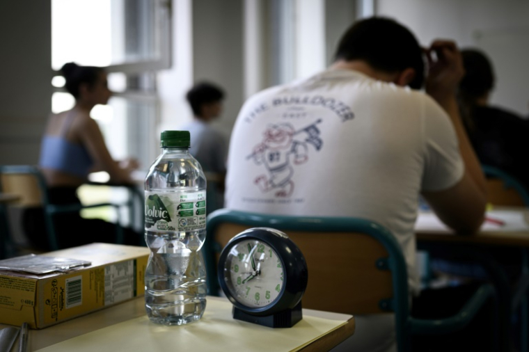 Pendant l'année de première, les lycéens étudient quatre œuvres, une par genre littéraire, avec, en plus, des lectures associées ( AFP / PhiLippe LOPEZ )