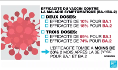 Covid-19 : faut-il redouter le nouveau variant Omicron BA.2 ?