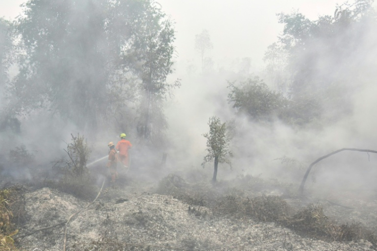 Des pompiers luttent contre des feux de forêt et de végétation à Banjar, dans le Kalimantan du Sud, le 21 septembre 2026 en Indonésie ( AFP / MUDA SAGALA )
