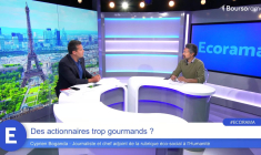 Des actionnaires trop gourmands ?