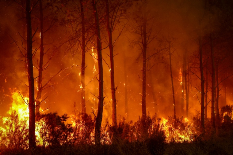 Le feu ravage la forêt à Saint-Jean-d'Illac, à une trentaine de kilomètres de Bordeaux, dont la région fait face à un incendie d'ampleur, le 26 juillet 2026 ( AFP / ROMAIN PERROCHEAU )