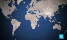 Huiles essentielles au Rwanda : un trésor à l'exportation