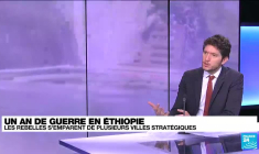 Ethiopie : les rebelles tigréens, "une menace réelle" pour le gouvernement