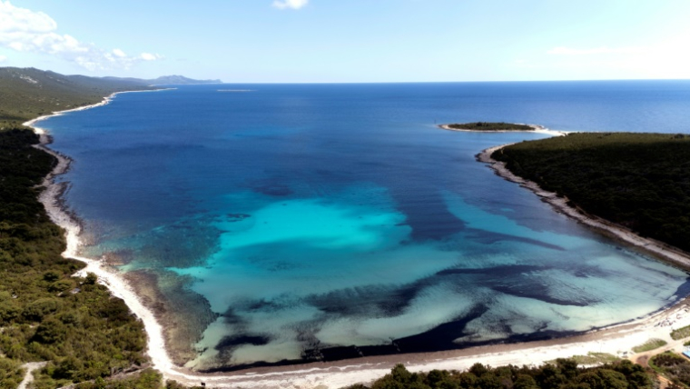 Vue aérienne des champs de posidonies dans les eaux bleues de la mer Adriatique, à Sakarun, sur l'île de Dugi Otok, le 8 mai 2025 en Croati ( AFP / ELVIS BARUKCIC )