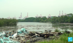 Sommet mondial sur les déchets plastiques : les Philippines menacées par les détritus