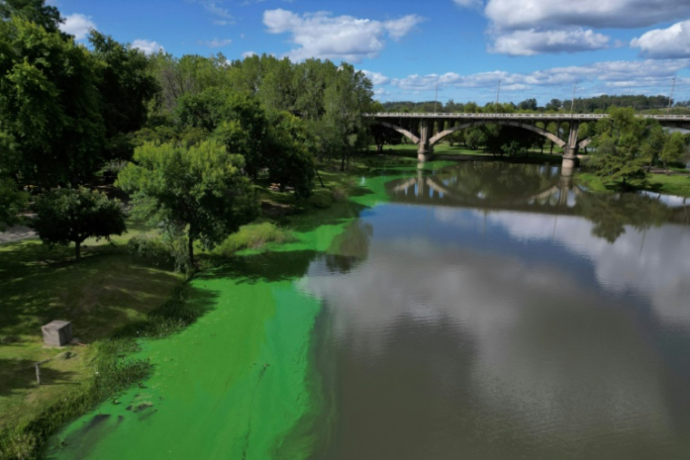 Les rives du fleuve Rio Negro couvertes de vase verte en raison de la présence de cyanobactéries, à Paso de los Toros, en Uruguay, le 14 mars 2025 ( AFP / Eitan ABRAMOVICH )