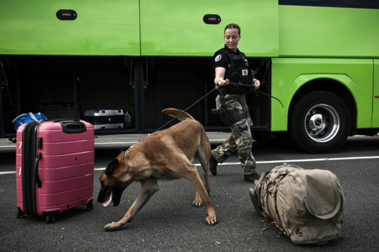 Une gendarme dirige son malinois pour détecter l'éventuelle présence de stupéfiants dans des bagages lors d'un contrôle à Sainte-Colombe-en-Bruilhois, près d'Agen, le 3 août 2024  ( AFP / Philippe Lopez )