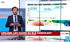 L'inquiétude des pays d'Afrique du Nord face à l'envolée des prix du blé