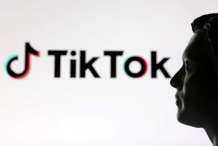 Une illustration montre un modèle miniature imprimé en 3D d'Elon Musk et le logo de TikTok